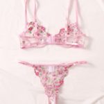 Embroidery Sheer Femme Sexy Bra Thong