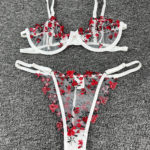 Embroidery Red Floral Bra Lingerie Set