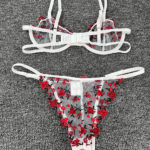Embroidery Red Floral Bra Lingerie Set