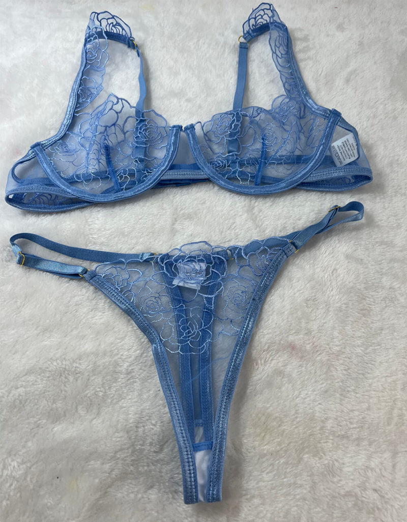 Embroidery Sheer Mesh Sexy Lingerie Set